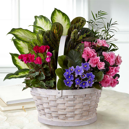 Peaceful Garden Planter –  Carrs, Bellevue WA