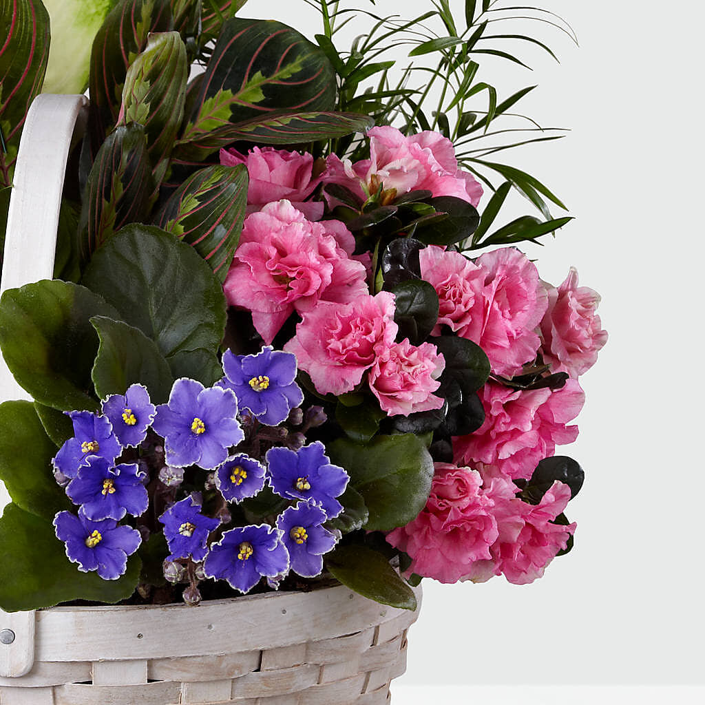 Peaceful Garden Planter –  Carrs, Bellevue WA