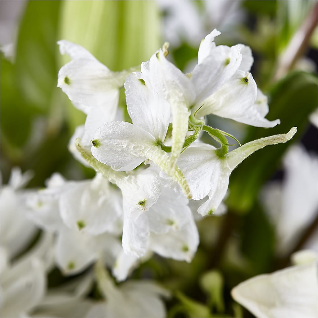 Classic Ivory – A Florist Original –  Carrs, Bellevue WA