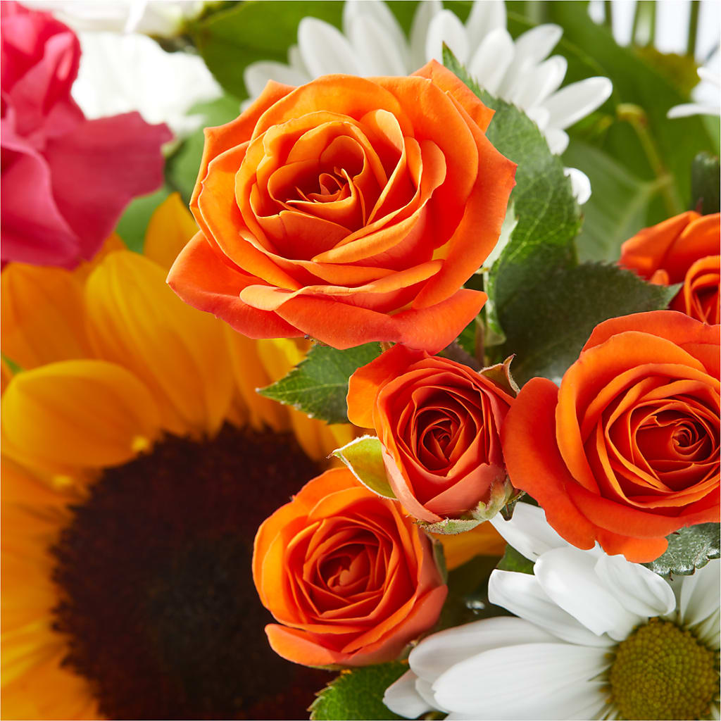 Sun-drenched Blooms Bouquet –  Carrs, Bellevue WA