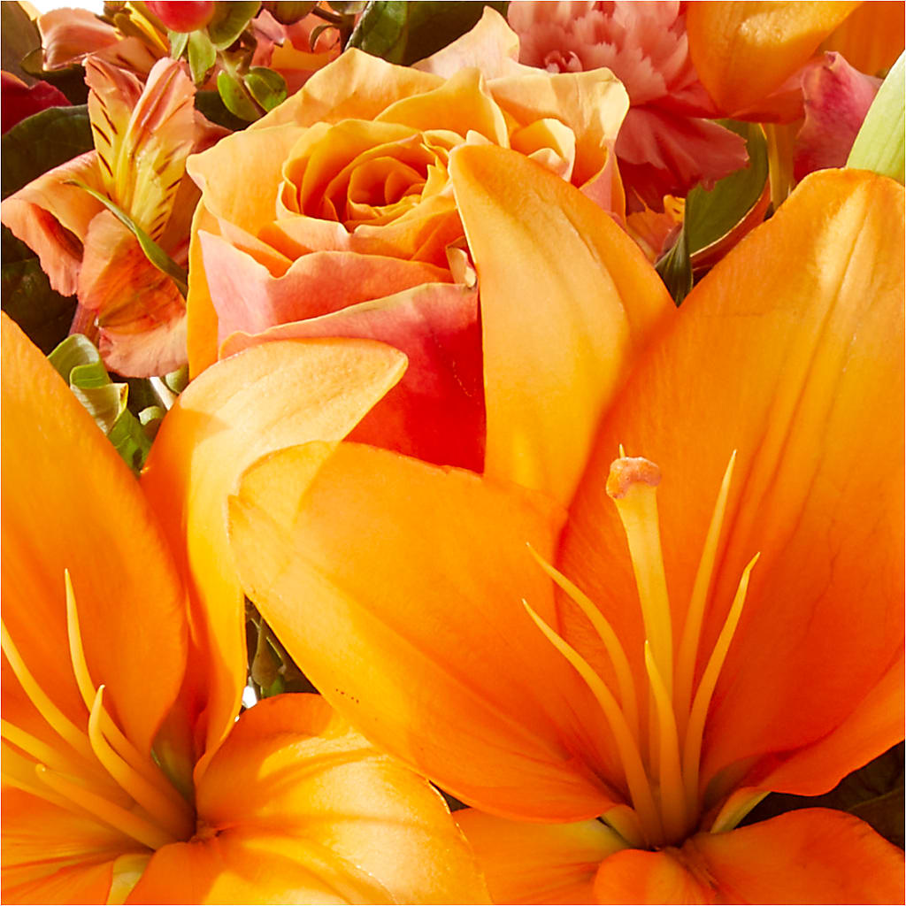 Afternoon Light Bouquet –  Carrs, Bellevue WA