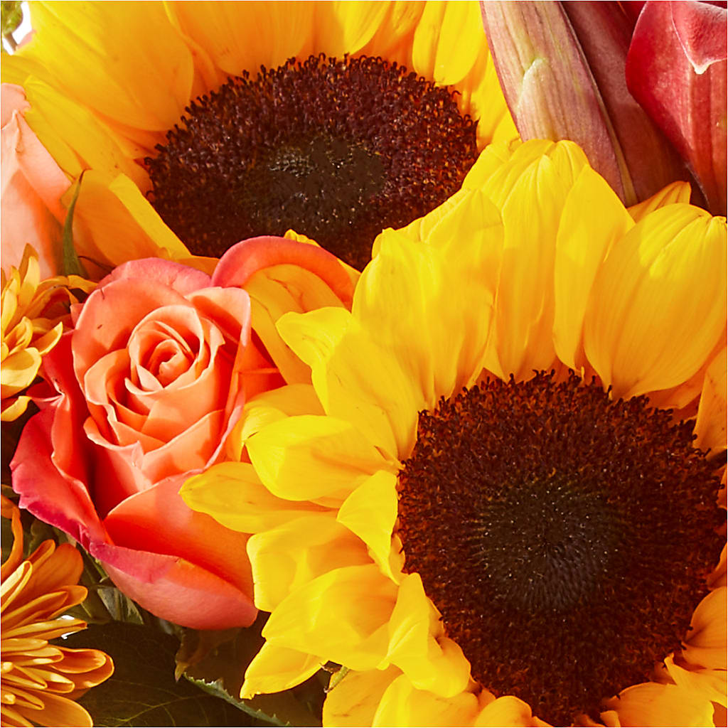 Acorn Lane Bouquet –  Carrs, Bellevue WA