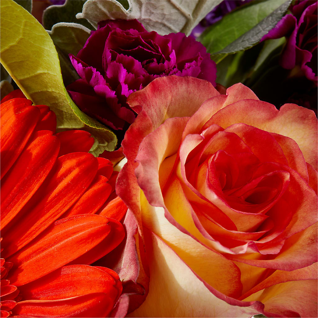 Sangria Bouquet –  Carrs, Bellevue WA