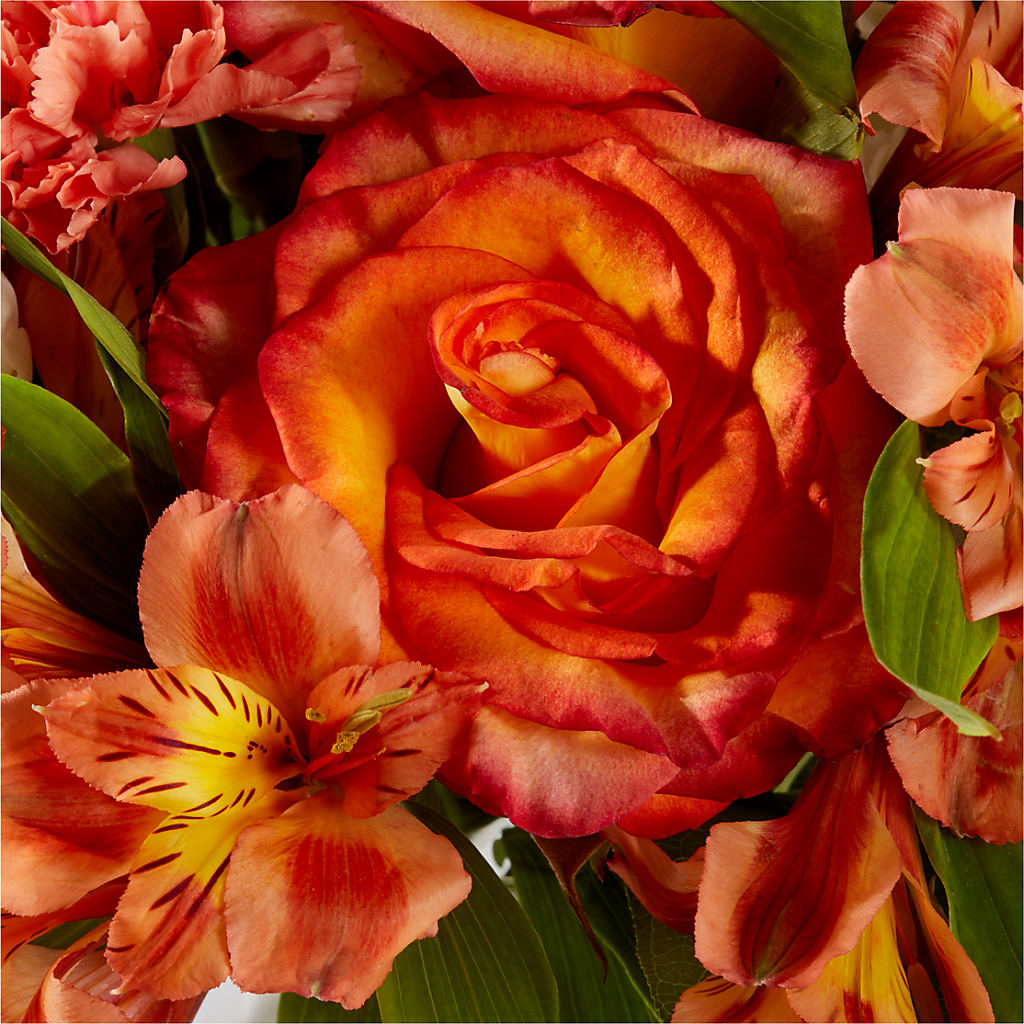 Apricot Glow Bouquet –  Carrs, Bellevue WA