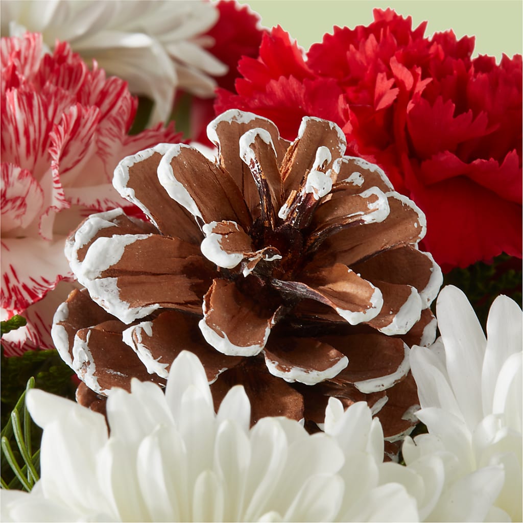 Candy Cane Lane Bouquet –  Carrs, Bellevue WA
