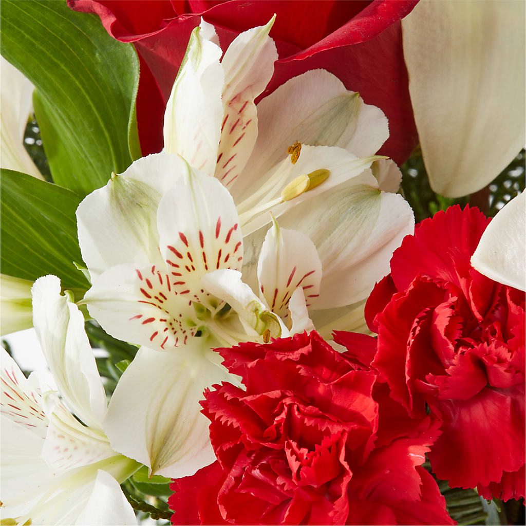 Holiday Season Bouquet –  Carrs, Bellevue WA