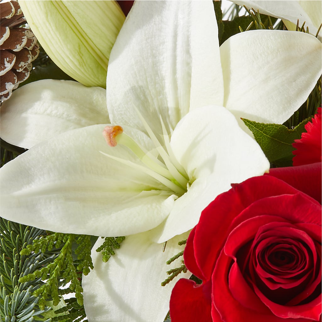 Oh So Jolly Bouquet –  Carrs, Bellevue WA