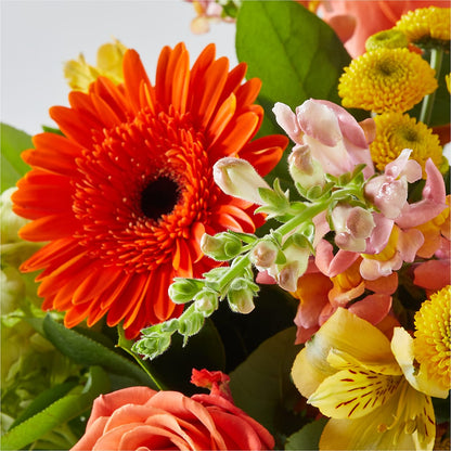 Autumn Sunshine Bouquet –  Carrs, Bellevue WA