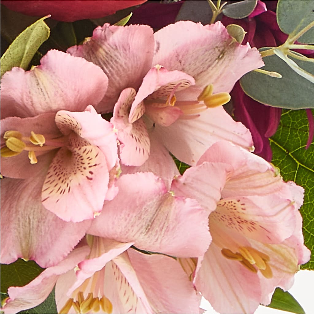 Berry Cobbler Bouquet –  Carrs, Bellevue WA