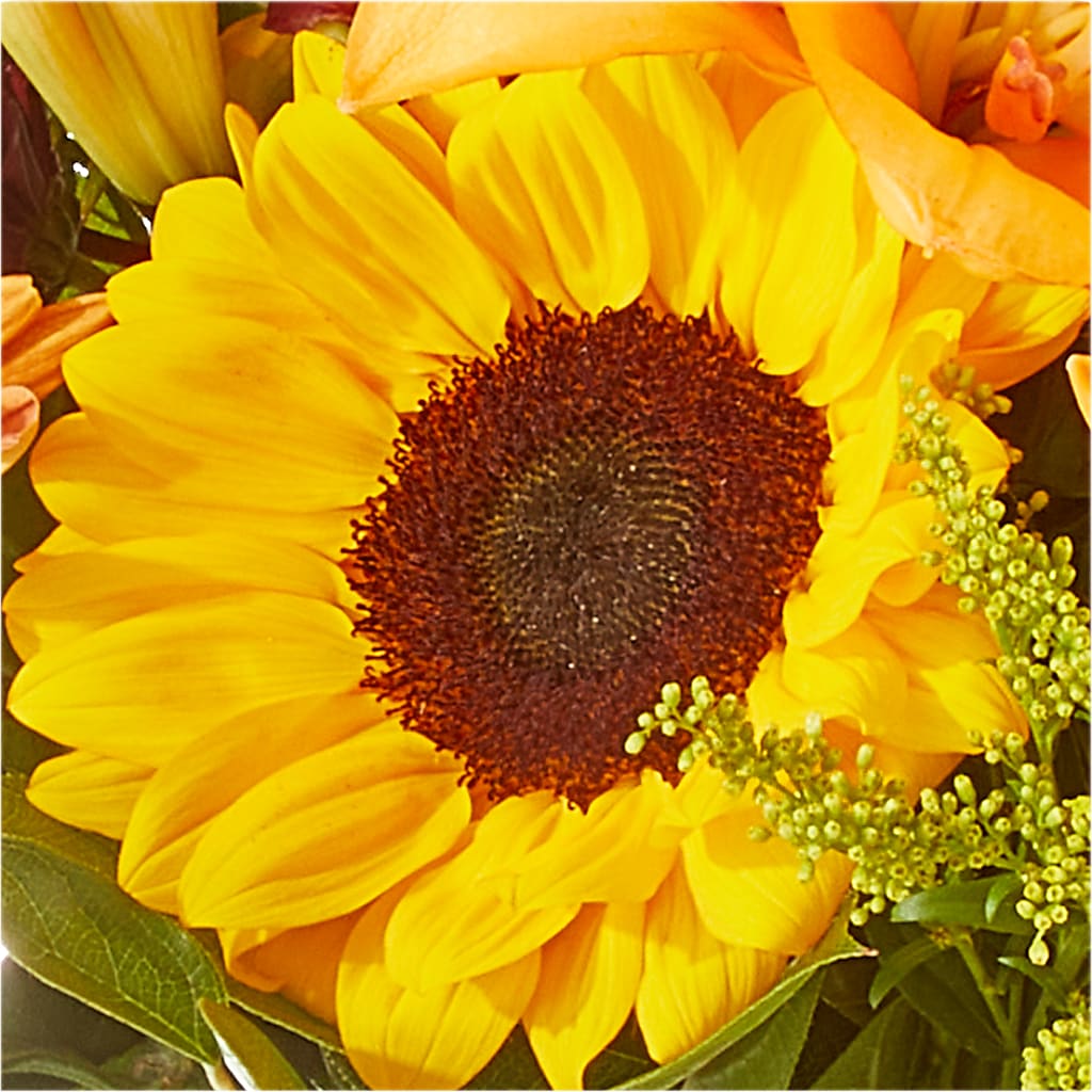 Seasons Change Bouquet –  Carrs, Bellevue WA