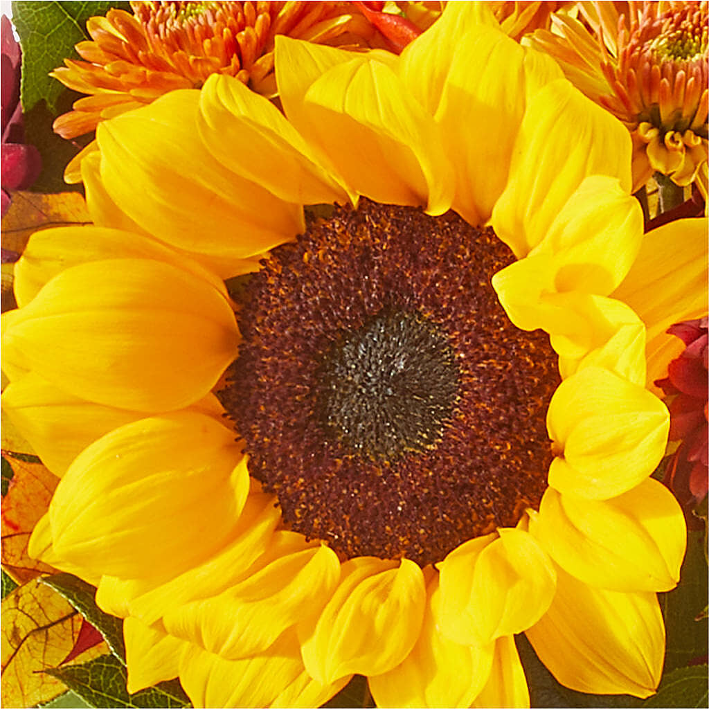 Sunny Side Bouquet –  Carrs, Bellevue WA