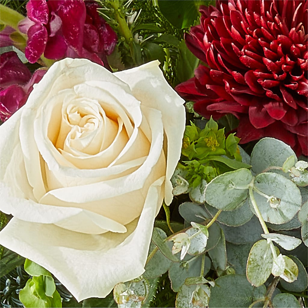 Cranberry Fizz Bouquet –  Carrs, Bellevue WA
