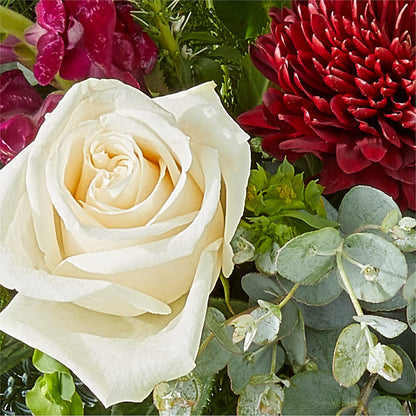 Cranberry Fizz Bouquet –  Carrs, Bellevue WA