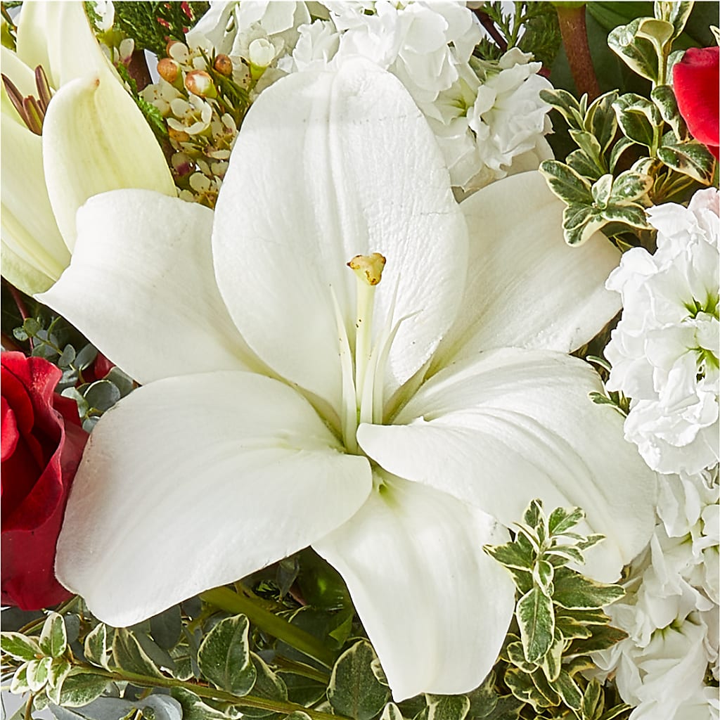 Twinkle Lights Bouquet –  Carrs, Bellevue WA