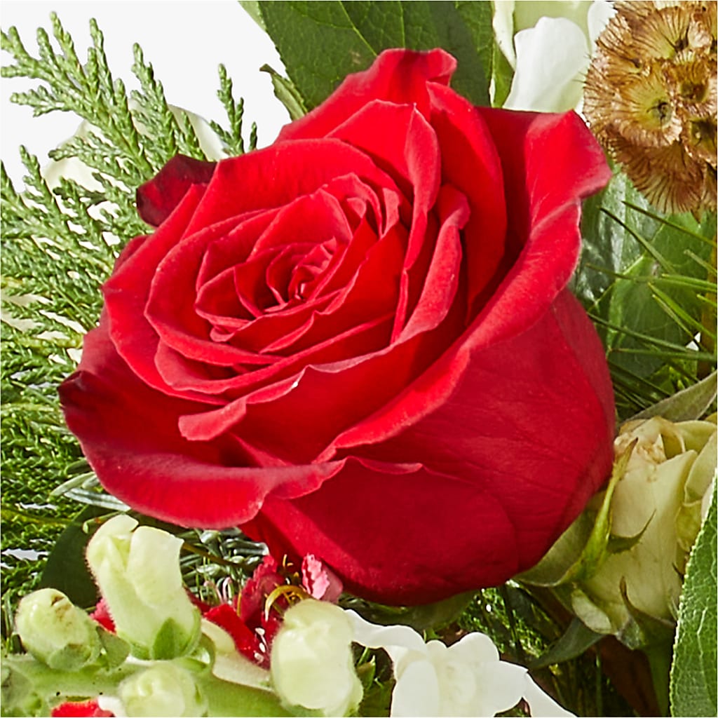 Deck the Halls Bouquet –  Carrs, Bellevue WA