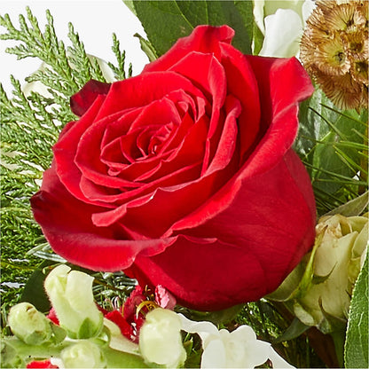 Deck the Halls Bouquet –  Carrs, Bellevue WA
