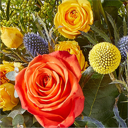 Disco Bouquet –  Carrs, Bellevue WA