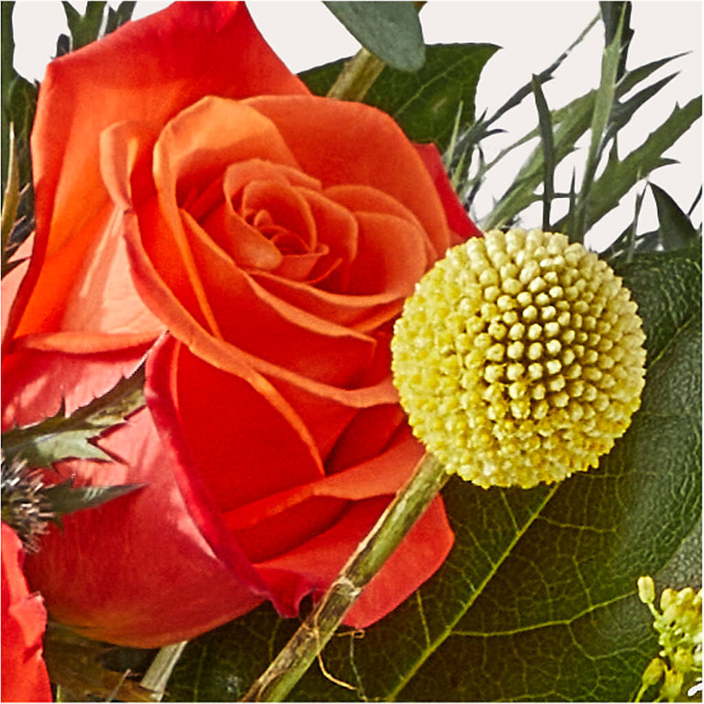Disco Bouquet –  Carrs, Bellevue WA