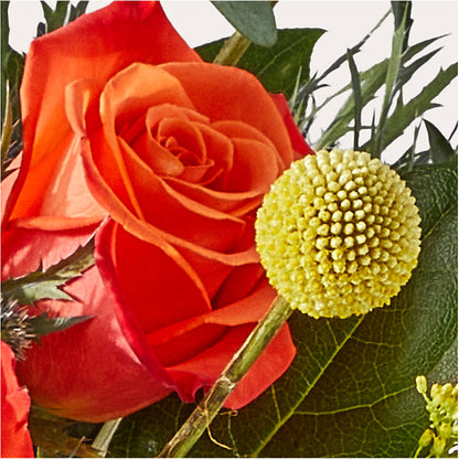 Disco Bouquet –  Carrs, Bellevue WA