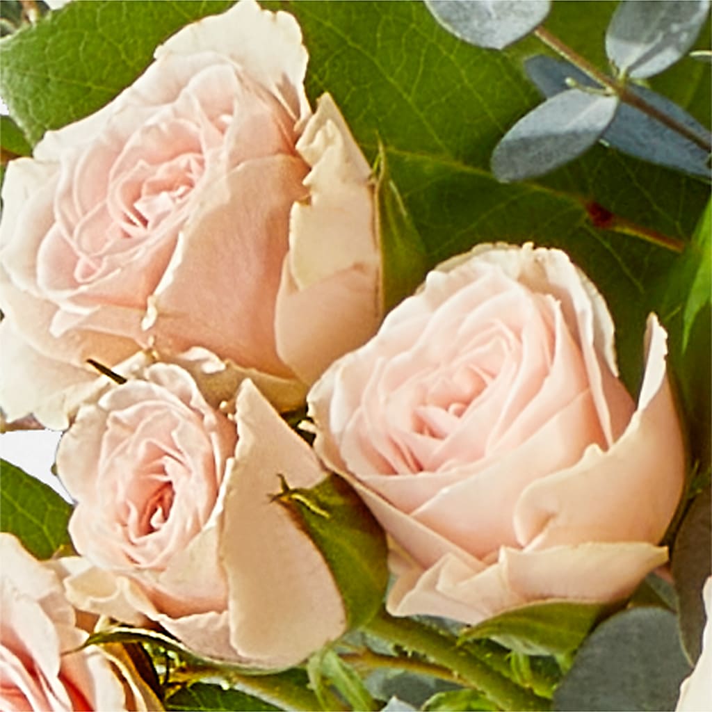 Inspired Bouquet –  Carrs, Bellevue WA