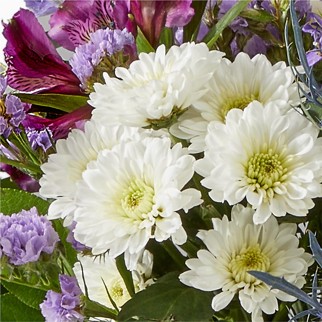 Shooting Star Bouquet –  Carrs, Bellevue WA
