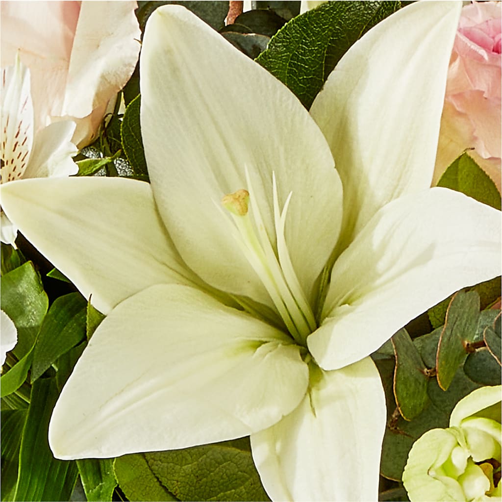 Ballet Slippers Bouquet –  Carrs, Bellevue WA