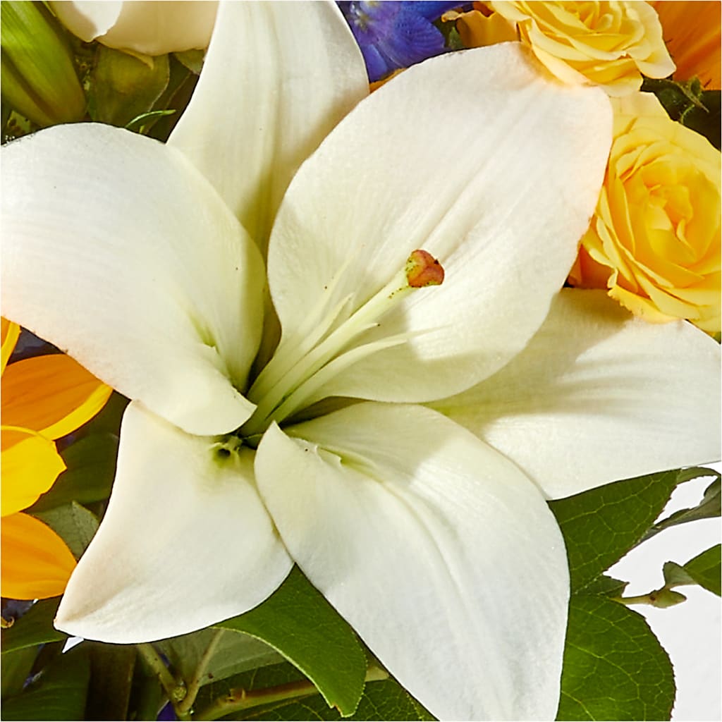 Wonderfully Sunny Bouquet –  Carrs, Bellevue WA
