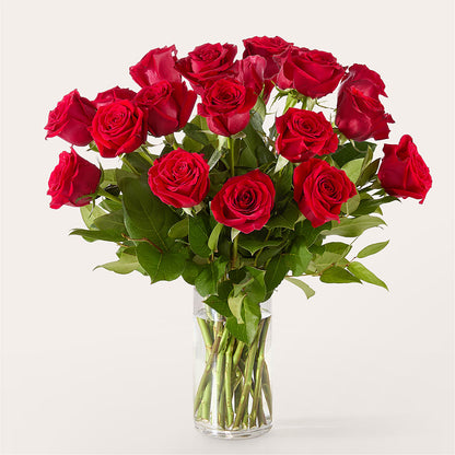 The One Red Rose Bouquet –  Carrs, Bellevue WA