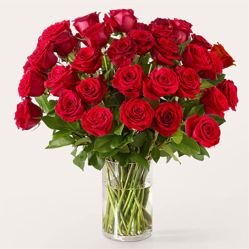 The One Red Rose Bouquet –  Carrs, Bellevue WA
