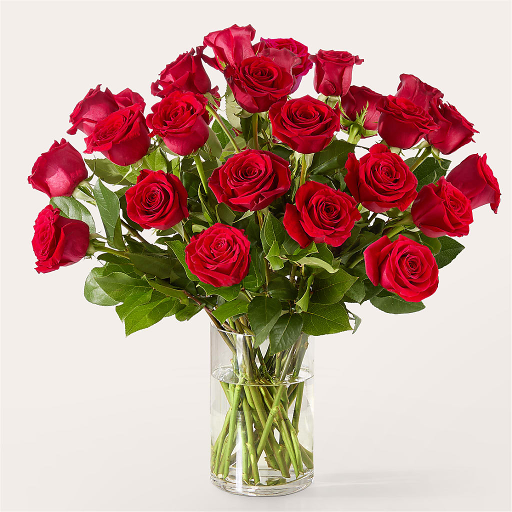 The One Red Rose Bouquet –  Carrs, Bellevue WA