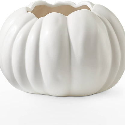Pumpkin to Talk About Bouquet –  Carrs, Bellevue WA